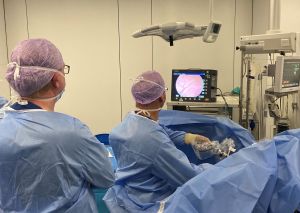 Urolon™-training voor urologen en gynaecologen