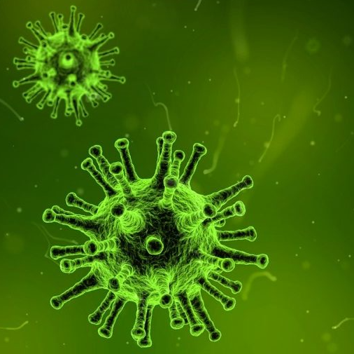 Update: Coronavirus (Covid-19)